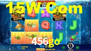 Premium Interface 456go